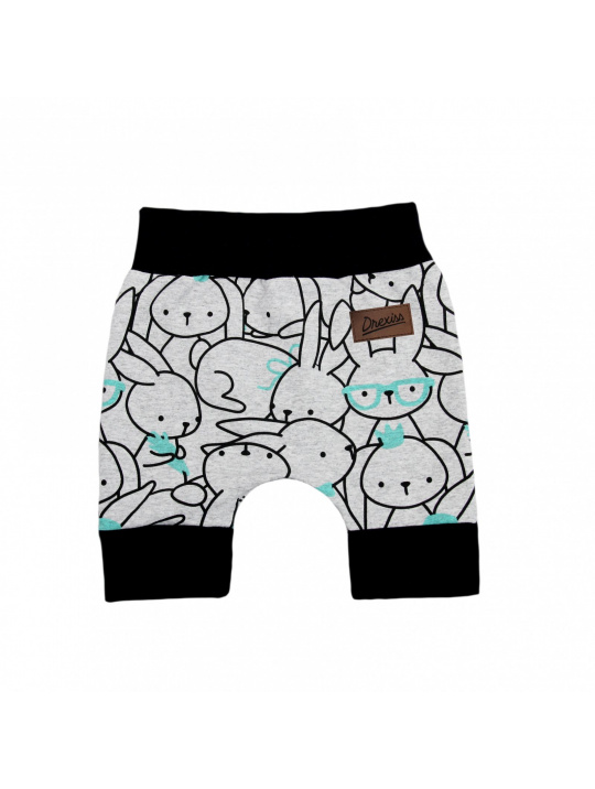 IceDress Drexiss kraťasy baggy ZAJDA MINT